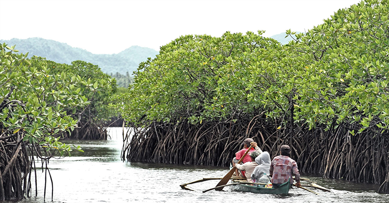 Del Carmen, Siargao Islands