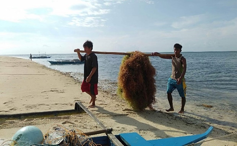 Cagayancillo, Palawan